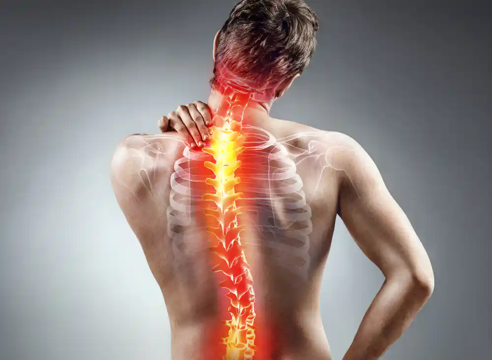 Back-Spine-and-Brain-Injuries